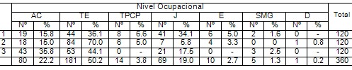 satisfaccion_rehabilitacion_fisioterapia/nivel_ocupacional