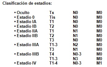 cancer_pulmon/clasificacion_estadios cancer_pulmon/clasificacion_estadios