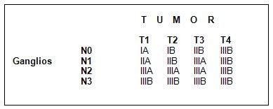 cancer_pulmon/clasificacion_estadios_TNM cancer_pulmon/clasificacion_estadios_TNM