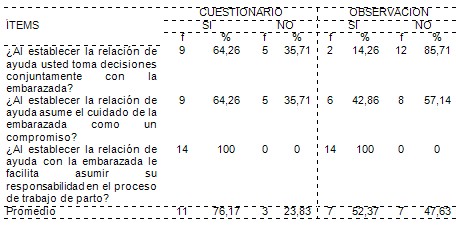 cuidados_enfermeria_embarazadas/plan_accion_enfermeras cuidados_enfermeria_embarazadas/plan_accion_enfermeras