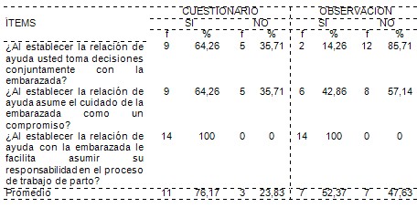 cuidados_enfermeria_embarazadas/plan_accion_enfermeras