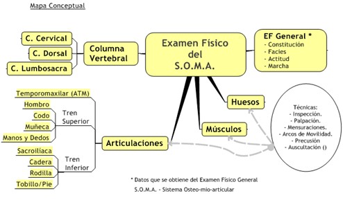 guia_historia_clinica/examen_fisico_sistema_osteomioartocular guia_historia_clinica/examen_fisico_sistema_osteomioartocular