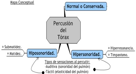 guia_historia_clinica/percusion_torax_aparato_respiratorio