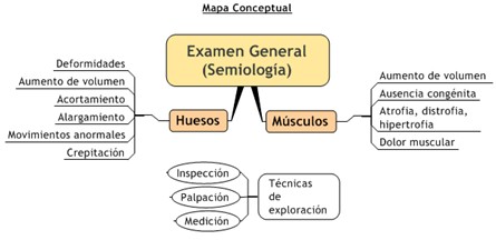 guia_historia_clinica/semiologia_sistema_osteomioartocular