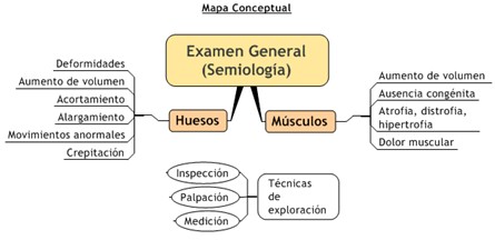 guia_historia_clinica/semiologia_sistema_osteomioartocular guia_historia_clinica/semiologia_sistema_osteomioartocular