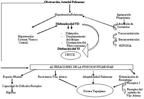 TEP_tromboembolismo_pulmonar/fisiopatologia_etiologia