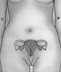 dispositivo_intrauterino_abdominal/DIU_anatomia_mujer