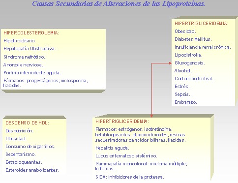 marcadores_cardiacos/causas_alteraciones_lipoproteinas marcadores_cardiacos/causas_alteraciones_lipoproteinas