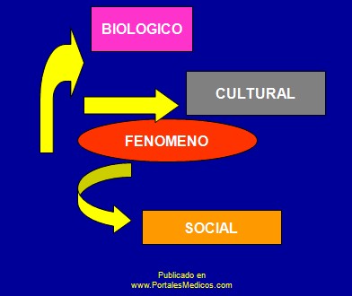 adolescencia_suicidio/fenomeno_biologico_cultural_social adolescencia_suicidio/fenomeno_biologico_cultural_social