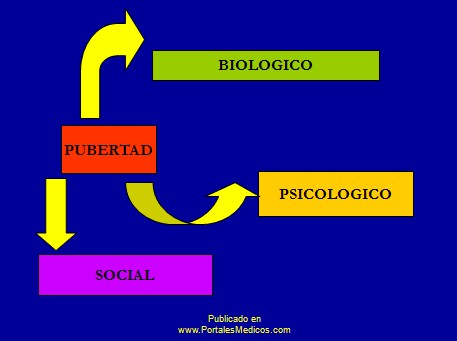 adolescencia_suicidio/pubertad_adolescencia_adolescentes