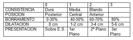 apuntes_ginecologia/parto_pretermino_test_bishop apuntes_ginecologia/parto_pretermino_test_bishop