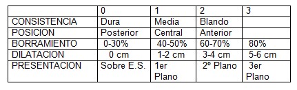 Que Es Sufrimiento Fetal Pdf