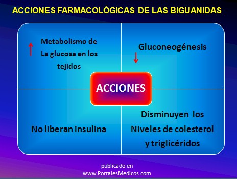 curso_diabetes_mellitus/acciones_farmacologicas_buguanidas