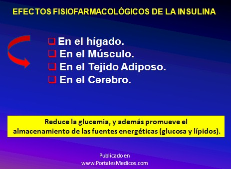 curso_diabetes_mellitus/efectos_fisiofarmacologicos_insulina