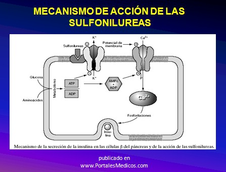 curso_diabetes_mellitus/mecanismo_accion_sulfonilureas