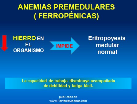 farmacos_antianemicos/anemias_premedulares_ferropenicas