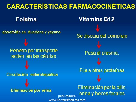 farmacos_antianemicos/farmacocinetica_anemia_megaloblastica