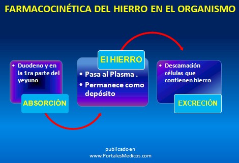 farmacos_antianemicos/farmacocinetica_fierro_hierro