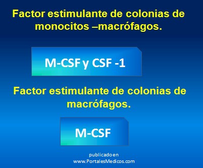 farmacos_antianemicos/monocitos_macrofagos