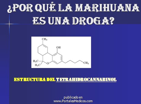 marihuana/droga_cannabis