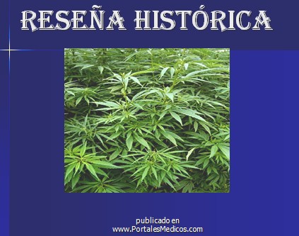 marihuana/historia_revision_historica
