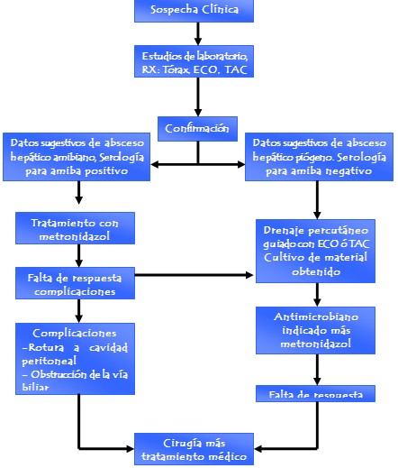 absceso_hepatico/amebiano_algoritmo_diagnostico absceso_hepatico/amebiano_algoritmo_diagnostico