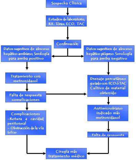 absceso_hepatico/amebiano_algoritmo_diagnostico