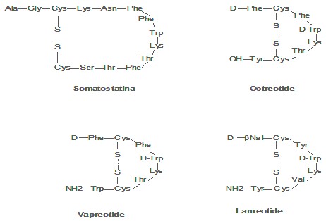 diagnostico_tumores_malignos/somatostatina_y_analogos diagnostico_tumores_malignos/somatostatina_y_analogos