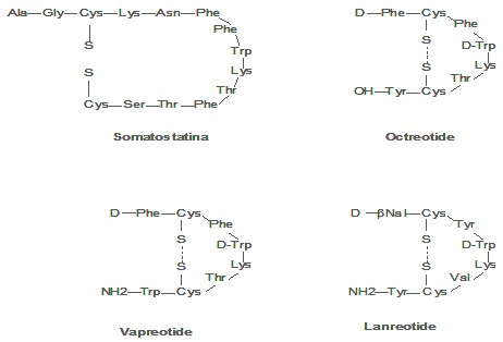 diagnostico_tumores_malignos/somatostatina_y_analogos