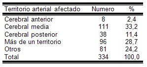 enfermedad_cerebrovascular_isquemica/territorio_vascular_afectado