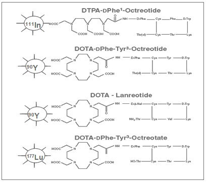 tratamiento_tumores_neuroendocrinos/radiofarmacos_analogos_somatostatina