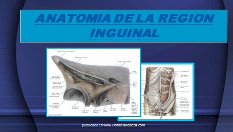 hernias_inguinales/anatomia_region_inguinal