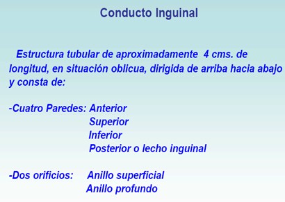 hernias_inguinales/conducto_inguinal