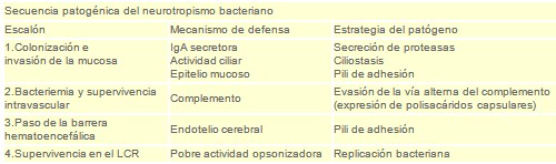 meningitis_bacteriana/patogenesis_fisiopatologia meningitis_bacteriana/patogenesis_fisiopatologia