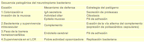 meningitis_bacteriana/patogenesis_fisiopatologia