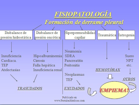 patologia_pleural/fisiopatologia_derrame