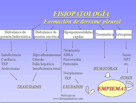 patologia_pleural/fisiopatologia_derrame patologia_pleural/fisiopatologia_derrame