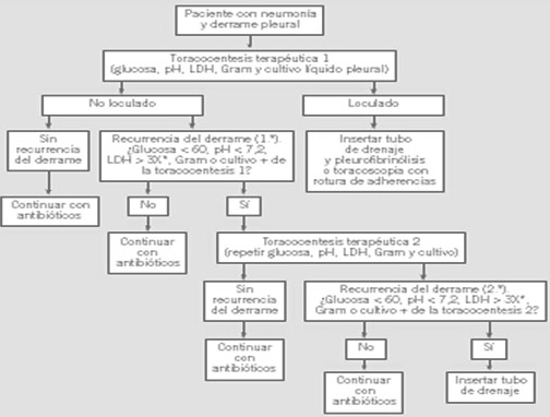 patologia_pleural/tratamiento_derrame_pleural