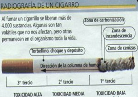 tabaquismo_enemigo_mortal/radiografia_cigarro tabaquismo_enemigo_mortal/radiografia_cigarro