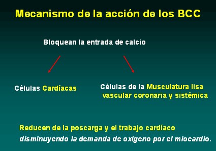 farmacologia_terapeutica_antianginosa/mecanismo_accion_calcioantagonistas