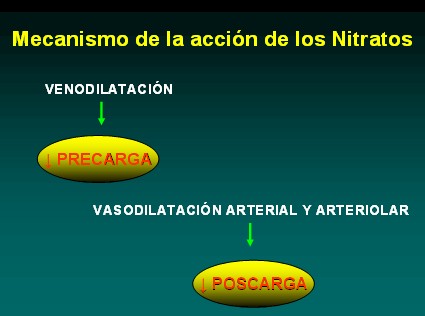 farmacologia_terapeutica_antianginosa/mecanismo_accion_nitratos
