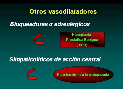 farmacologia_terapeutica_antihipertensiva/otros_hipotensores_vasodilatadores