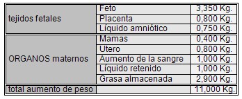 alimentacion_nutricion_embarazo/aumento_peso_embarazo alimentacion_nutricion_embarazo/aumento_peso_embarazo