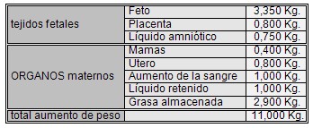 alimentacion_nutricion_embarazo/aumento_peso_embarazo