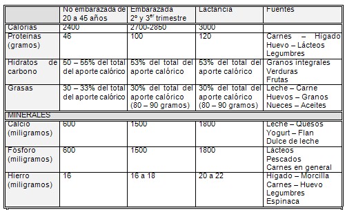 alimentacion_nutricion_embarazo/necesidades_nutricionales_lactancia