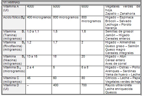 alimentacion_nutricion_embarazo/necesidades_vitaminas_lactancia