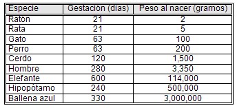 alimentacion_nutricion_embarazo/peso_al_nacer_animales