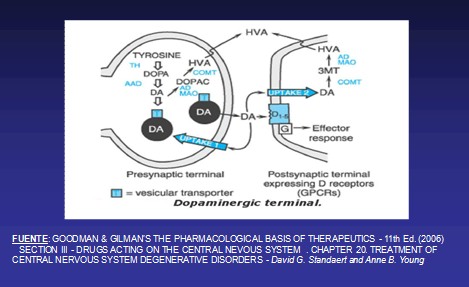 enfermedad_de_Parkinson/transmision_dopaminergica enfermedad_de_Parkinson/transmision_dopaminergica