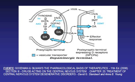 enfermedad_de_Parkinson/transmision_dopaminergica