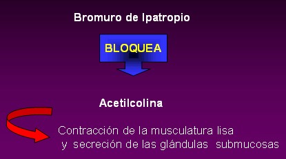 farmacologia_asma_bronquial/anticolinergicos_bromuro_ipatropio